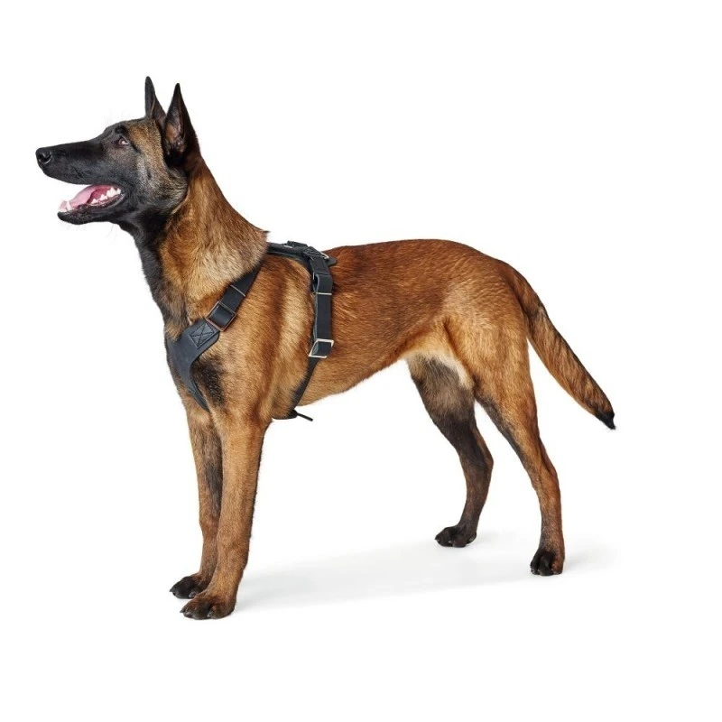 Hunter Hundesele Aalborg Sort M-L/2 - 62-90 cm bryst/hals